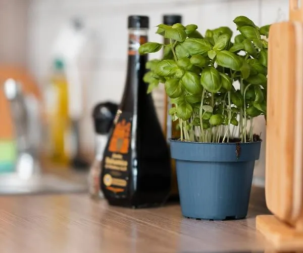 Casa de Férias Bg Living & Hosting - Mosel-fachwerkhaus Nahe Calmont Klettersteig - 2 Schlafzimmer, Parkplatz, Wlan & Netflix, 5 Personen