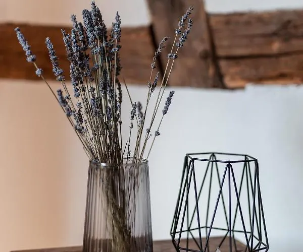 Bg Living & Hosting - Mosel-fachwerkhaus Nahe Calmont Klettersteig - 2 Schlafzimmer, Parkplatz, Wlan & Netflix, 5 Personen * Ediger-Eller